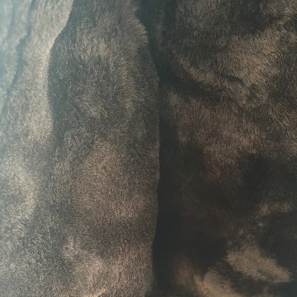 Vintage 80s/90s Overland Sheepskin Co Shaw Collar Shearling Coat XS Made in USA - Picture 7 of 13